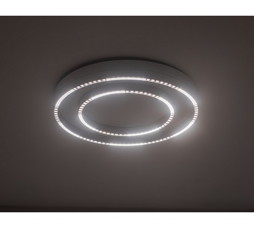 Накладной светильник Ambrella Light FL5821 FL