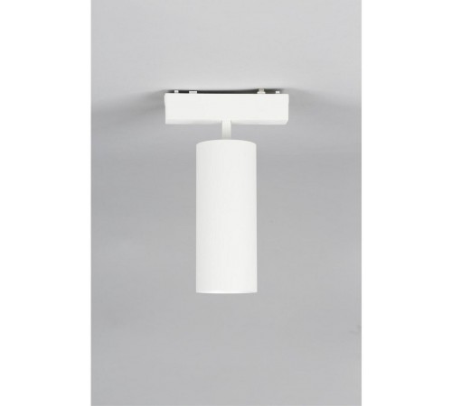 Светильник на штанге Aployt APL.0114.10.18 Magnetic track 48