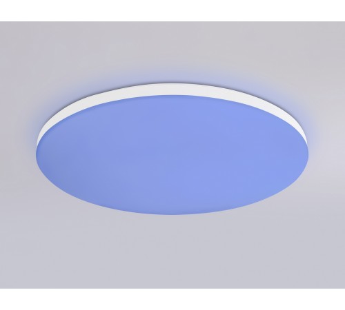 Накладной светильник Ambrella Light FZ2001 FZ