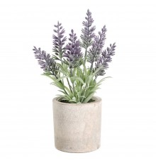 Растение в горшке (80x220) Chitose 428031