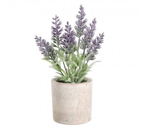 Растение в горшке (80x220) Chitose 428031