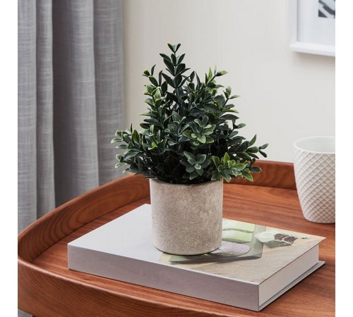 Растение в горшке (180x230) Chitose 428028