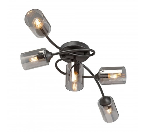 Потолочная люстра Vitaluce V2048-1/5PL V2048