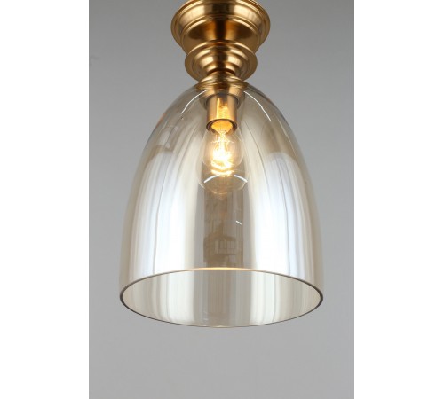 Подвесной светильник Aployt APL.602.06.01 Rena