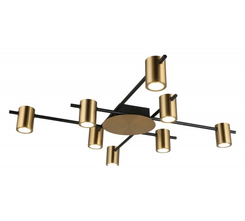 Потолочная люстра Aployt APL.633.07.08 Elwisia