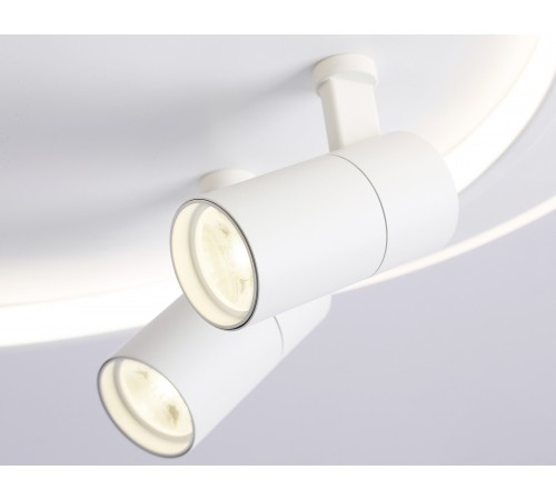 Накладной светильник Ambrella Light FL51391 FL