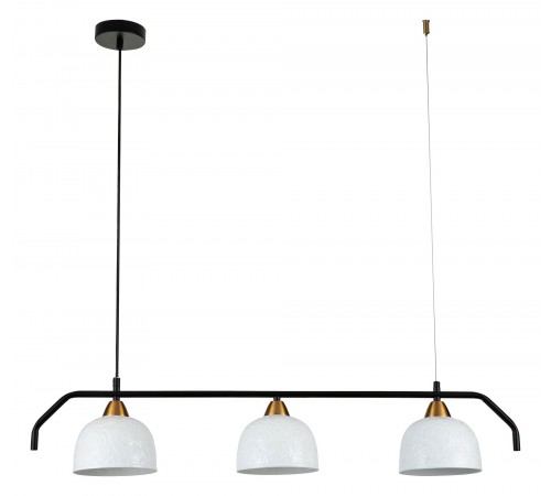 Подвесной светильник Indigo 10005/3PL Black Attimo