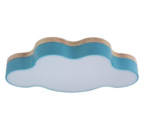 Накладной светильник Loft it 10005/30 Blue Axel 4