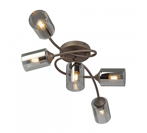 Потолочная люстра Vitaluce V2048-7/5PL V2048