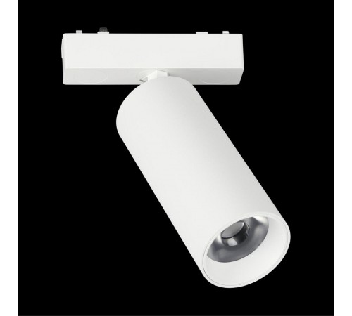 Светильник на штанге Aployt APL.0114.10.18 Magnetic track 48