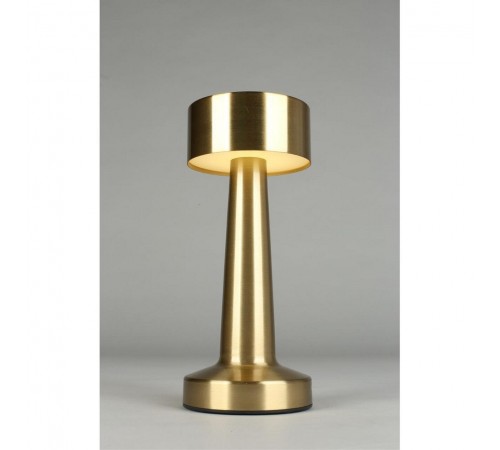 Настольная лампа декоративная Aployt APL.671.04.01 Perrayn