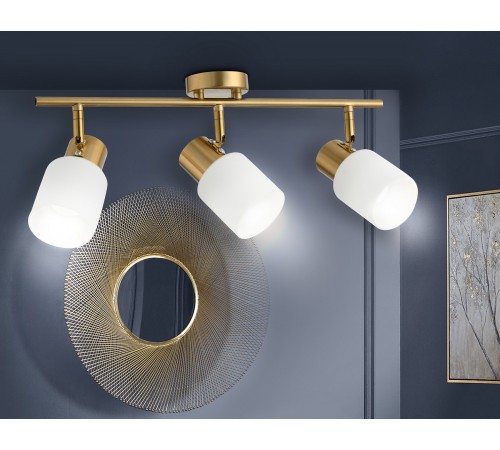 Спот Ambrella Light TR3972 TR