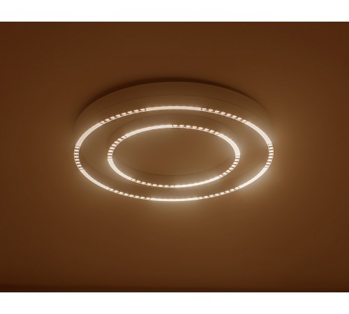 Накладной светильник Ambrella Light FL5821 FL