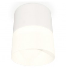 Накладной светильник Ambrella Light XS8110002 XS