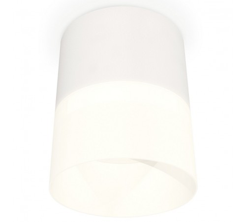 Накладной светильник Ambrella Light XS8110002 XS