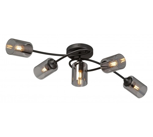 Потолочная люстра Vitaluce V2048-1/5PL V2048