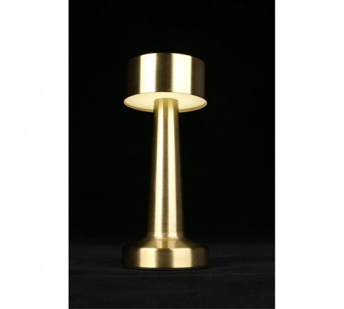 Настольная лампа декоративная Aployt APL.671.04.01 Perrayn