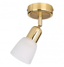 Спот Escada 5039/1PA Fabius