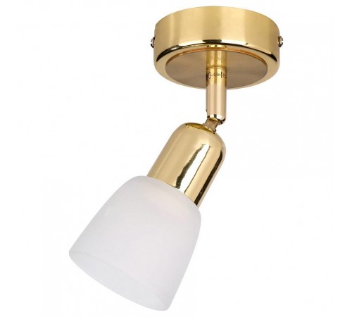 Спот Escada 5039/1PA Fabius