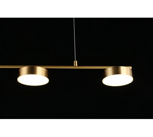 Подвесной светильник Aployt APL.047.13.35 Usia