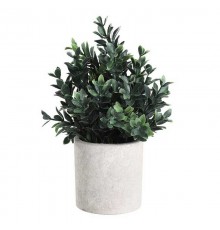 Растение в горшке (180x230) Chitose 428028