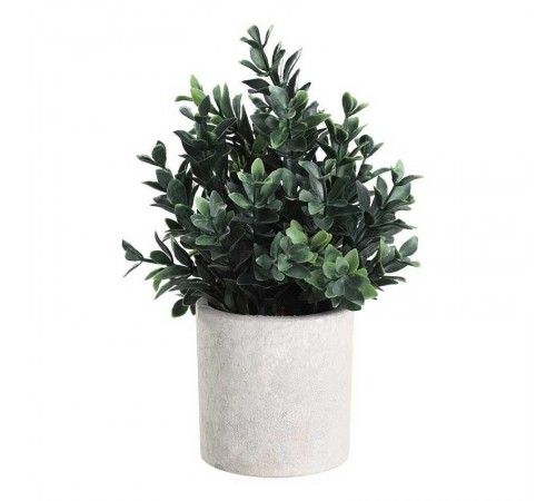 Растение в горшке (180x230) Chitose 428028