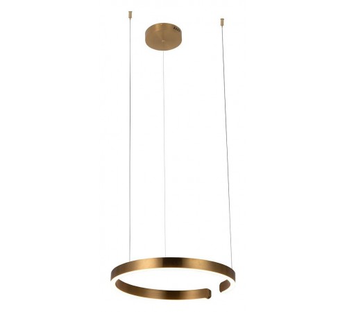 Подвесной светильник Loft it 10013M Ring