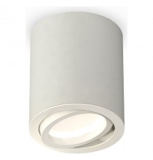 Накладной светильник Ambrella Light XS7423020 XS