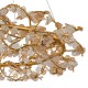 Подвесная люстра Indigo 11042/12P Gold Splendore