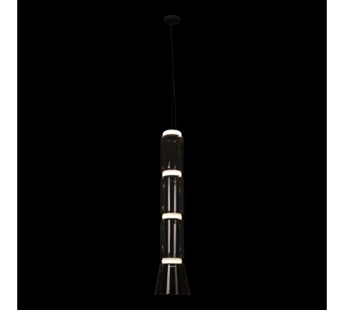 Подвесной светильник Loft it 10193/L Noctambule