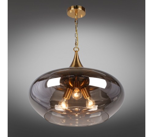 Подвесной светильник Aployt APL.601.16.03 Franko