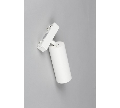 Светильник на штанге Aployt APL.0114.10.18 Magnetic track 48