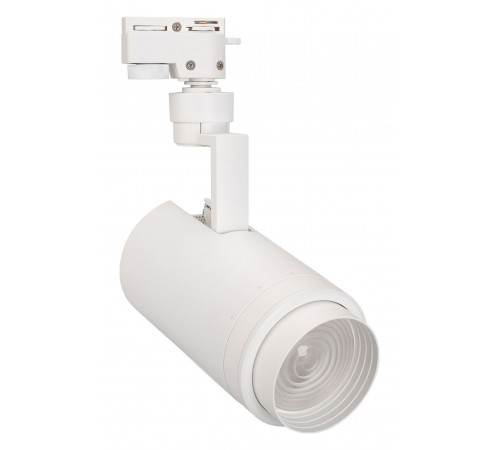 Светильник на штанге Arlight 025928(1) ZEUS