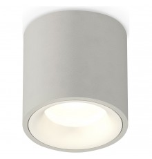 Накладной светильник Ambrella Light XS7533020 XS