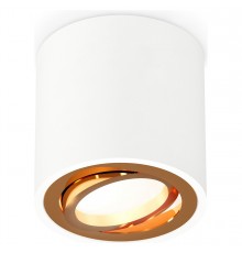 Накладной светильник Ambrella Light XS7531004 XS