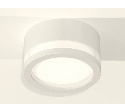 Накладной светильник Ambrella Light XS8101017 XS