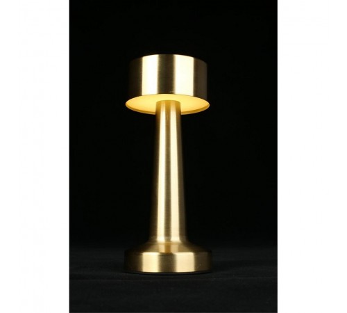 Настольная лампа декоративная Aployt APL.671.04.01 Perrayn