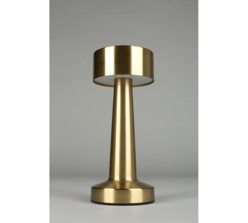 Настольная лампа декоративная Aployt APL.671.04.01 Perrayn