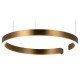 Подвесной светильник Loft it 10013M Ring