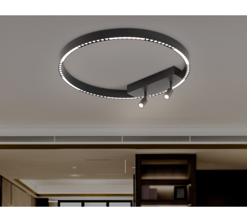 Накладной светильник Ambrella Light FL5808 FL