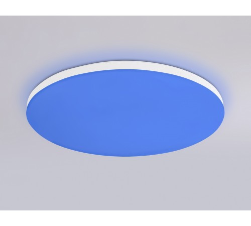 Накладной светильник Ambrella Light FZ2001 FZ