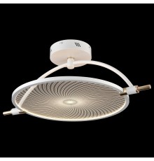 Светильник на штанге Wertmark WE430.02.007 Laura