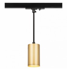 Подвесной светильник Эра TR45 - GU10 S MG