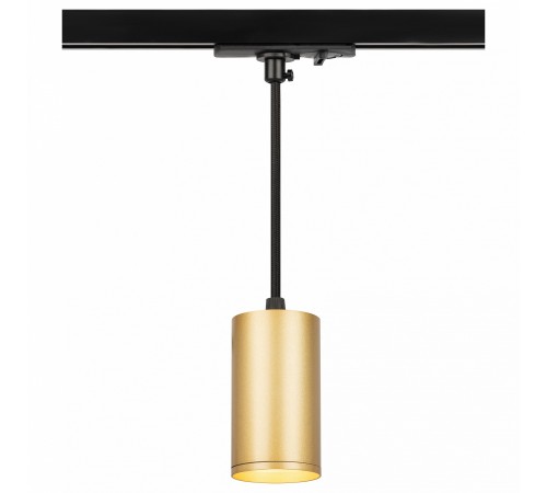 Подвесной светильник Эра TR45 - GU10 S MG