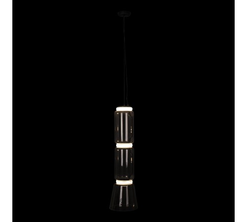 Подвесной светильник Loft it 10193/M Noctambule