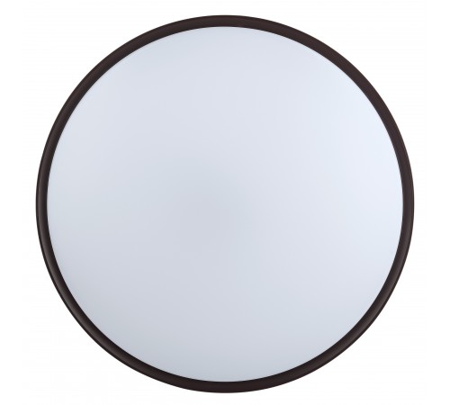 Накладной светильник Эра SPB-6-70-RC Sance Классик