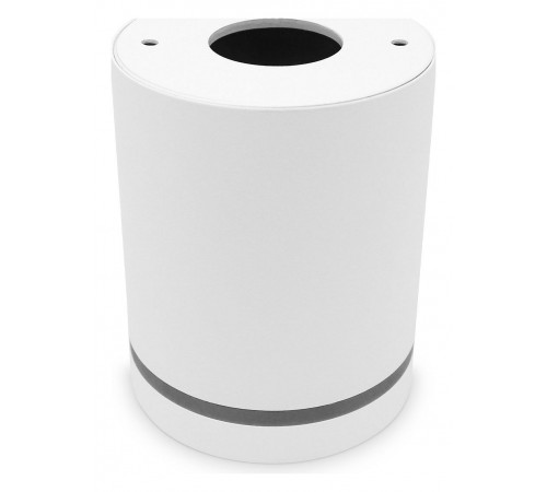 Накладной светильник Ambrella Light TN3202 TN