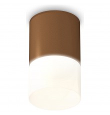 Накладной светильник Ambrella Light XS6304042 XS