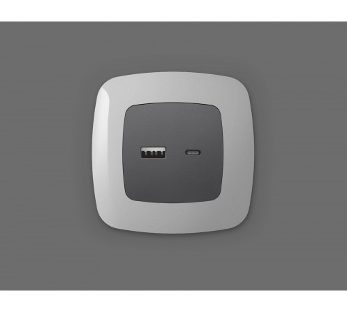 Накладка для розетки type A и C Ambrella Volt OP6610 Quant