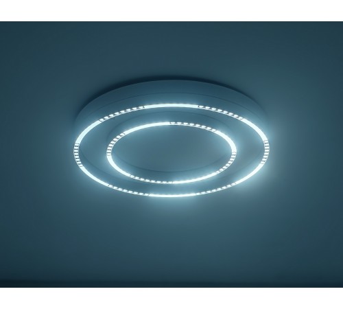 Накладной светильник Ambrella Light FL5821 FL